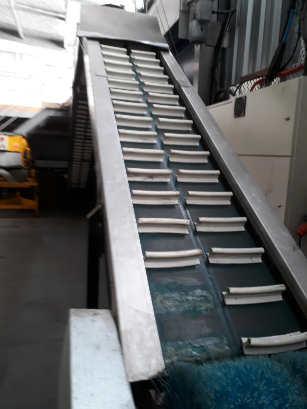 Elevated conveyor run feeding orchard processing equipment